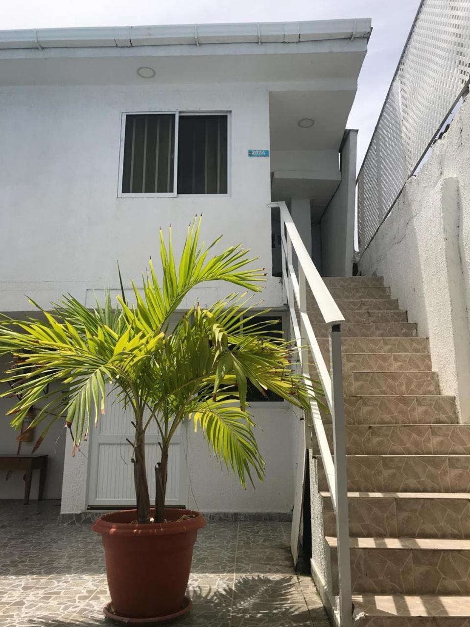 מלון San Andrés Tropical Dreams מראה חיצוני תמונה